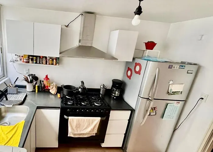 Cozy In Roma Norte-trendy Area Apartment Mexico City